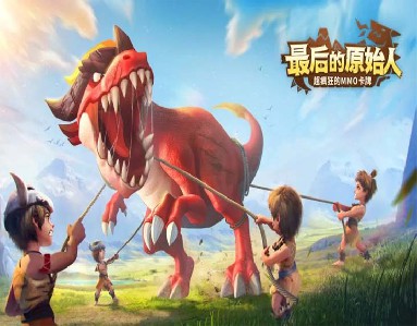 成功案例
